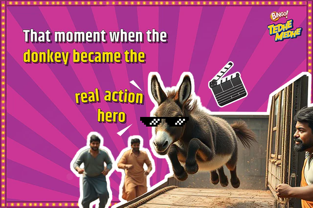gadhe ka stunt